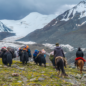 We Care We work to improve the livelihoods of local through tourism and professional trainings.